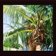 Palmen auf Mahe, Seychellen - Ölmalerei in Pinseltechnik 